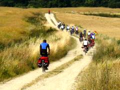 Friedensradfahrer fahren hintereinander auf einem Feldweg. Foto: Alexander